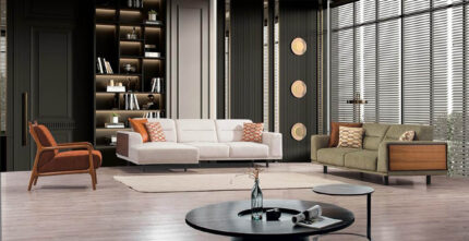 Nevi Koltuk Takımı